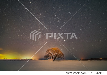 Toyokoro Town Harunire Tree and Orion 75076945
