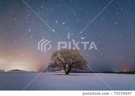 Toyokoro Town Harunire Tree and Orion 75076947