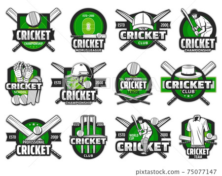 Cricket sport ball, bat and team player icons 75077147