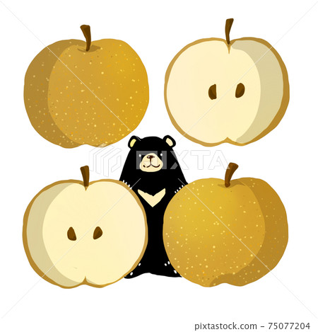 Asiatic black bear and pear Asiatic black bear and pear 75077204