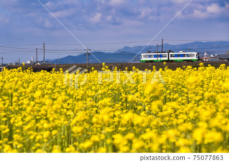 Keifuku火車 75077863