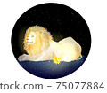 Starlight and lion 75077884