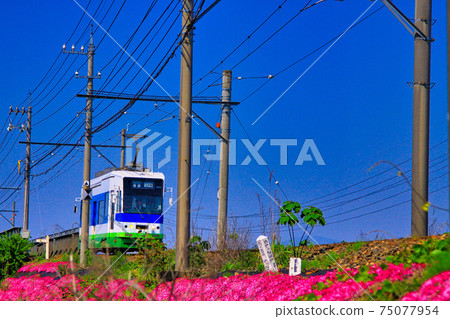 Keifuku train Keifuku train 75077954