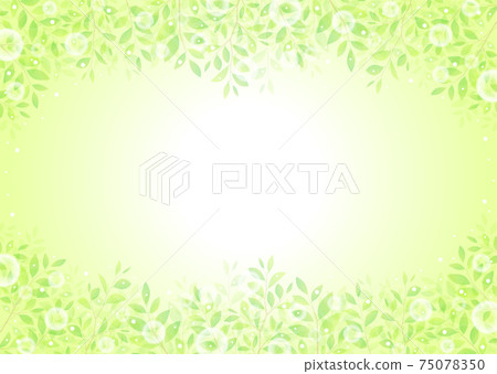 背景素材_Konoha新鮮的綠色嫩葉綠色的葉子 75078350