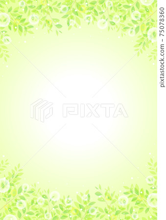 背景素材_Konoha新鮮的綠色嫩葉綠色的葉子 75078360