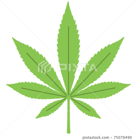 Cannabis illustration 75078490