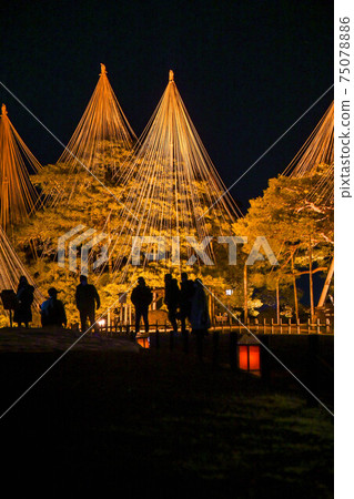 冬季風景照亮的兼六園 冬季風景照亮的兼六園 75078886