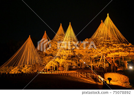 冬季風景照亮的兼六園 75078892