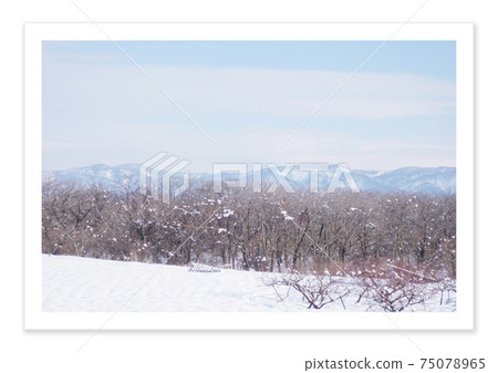 Film photo snow scene Film photo snow scene 75078965