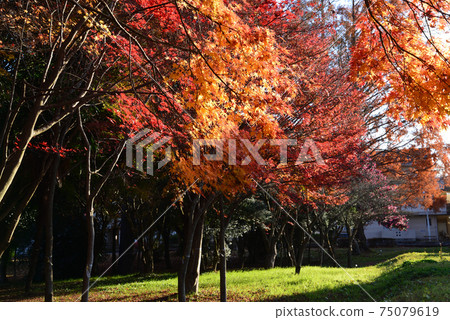 Autumn Sister City Exchange Center # 32 Autumn Sister City Exchange Center # 32 75079619