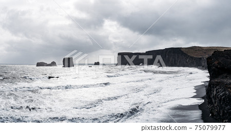 Black sand beach and the basalt mount Reynisfjall, Vik, Iceland. 75079977