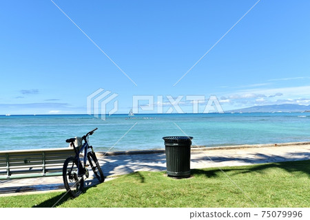 Holidays in Hawaii 75079996