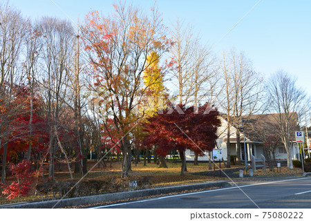 Autumn Sister City Exchange Center # 49 Autumn Sister City Exchange Center # 49 75080222