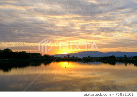 Yakushiji Temple in the morning glow (Nishinokyo, Nara City, Nara Prefecture) 75081101
