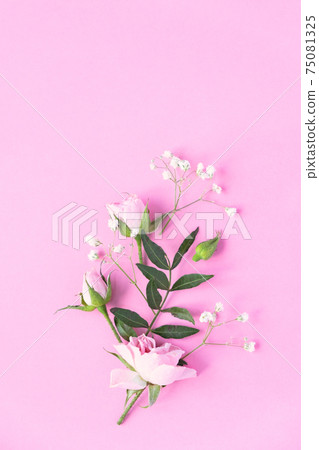 Creative layout made with pink and violet flowers on pink background. Flat lay. 75081325