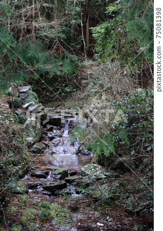 大音堂山刷新路腳下 75081398