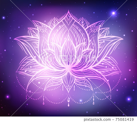 Lotus Flower Spiritual | Best Flower Site