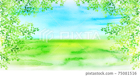 New green leaves Spring background 75081516