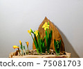 Daffodils and hyacinth in a cardboard bag on a gray background. 75081703