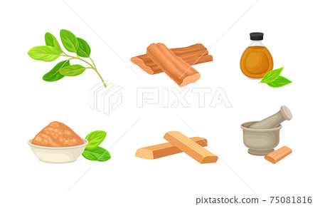 Sandalwood Timber and Wood Material with Fragrant Powder in Bowl Vector Set 75081816