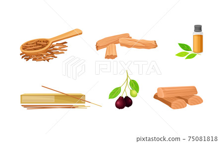 Sandalwood Timber and Wood Material with Fragrant Chip and Sticks Vector Set 75081818