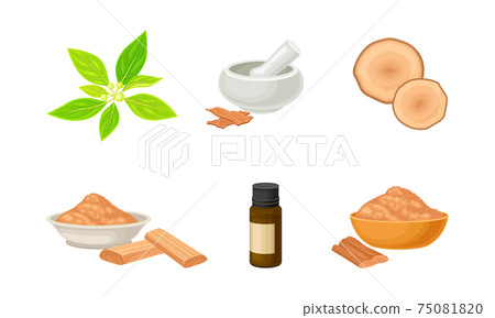 Sandalwood Timber and Wood Material with Fragrant Powder in Bowl Vector Set 75081820