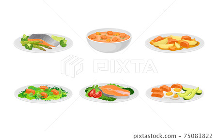 Salmon Dishes Served with Vegetables and Garnished with Pot Herbs Vector Set 75081822