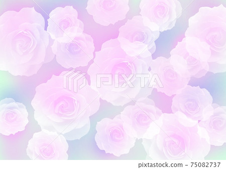 Rose background Rose background 75082737