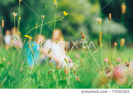 Grass in the park on a blurry background of a couple in love Grass in the park on a blurry background of a couple in love 75082881