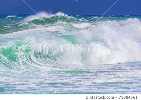 wave image wave image 75084561