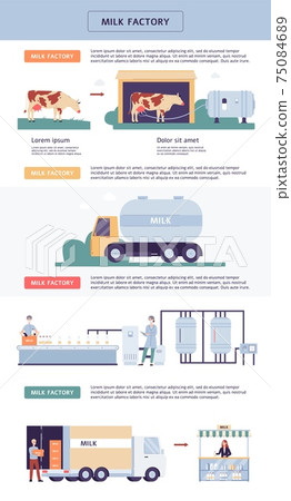 Stages of dairy production at milk factory infographic flat vector illustration. Stages of dairy production at milk factory infographic flat vector illustration. 75084689