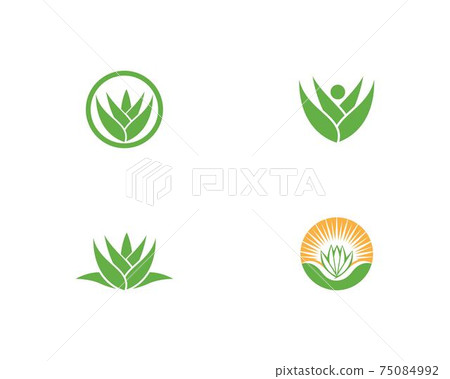 Aloe Vera Logo Vector Stock Illustration 75084992 Pixta