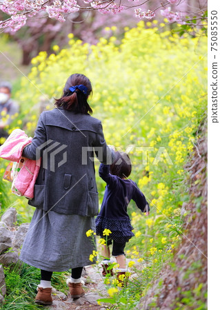 Memories with my mother Memories with my mother 75085550