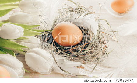 Natural easter colour eggs in basket with spring tulips, white feathers on wooden table background in Happy Easter decoration. Spring holiday concept. 75086474