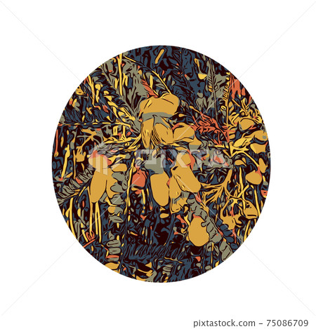 Flower of the Kowhai Tree Color Line Art Oval Flower of the Kowhai Tree Color Line Art Oval 75086709