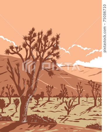 Joshua tree in the Mojave Desert within Joshua Tree National Park in California and Nevada WPA Poster Art Joshua tree in the Mojave Desert within Joshua Tree National Park in California and Nevada WPA Poster Art 75086710