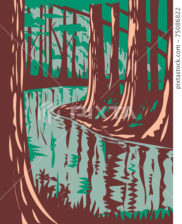 Cedar Creek at the Congaree National Park in Central South Carolina United States of America WPA Poster Art 75086822