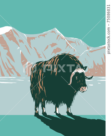 Muskox or Musk Ox in Winter in the Cape Krusenstern National Monument in Northwestern Alaska WPA Poster Art 75086831