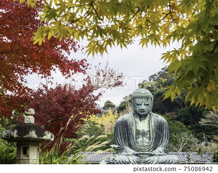 鎌倉古德院鎌倉大佛和秋葉 鎌倉古德院鎌倉大佛和秋葉 75086942