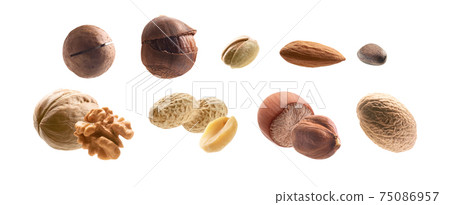 Large collection of different nuts on a white background Large collection of different nuts on a white background 75086957