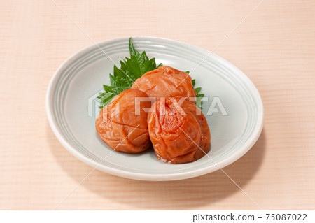 梅梅紀州南光 75087022