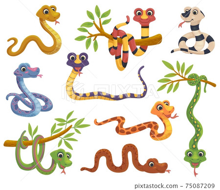 Set of cartoon color snake, funny reptile in various poses a vector illustrations Set of cartoon color snake, funny reptile in various poses a vector illustrations 75087209