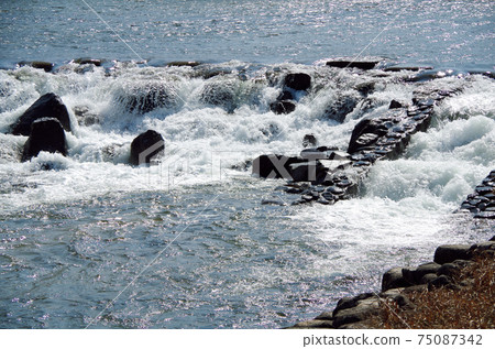 堰的動態水流的唯一且唯一的表達方式……島根縣安來市飯梨川（晴天） 75087342