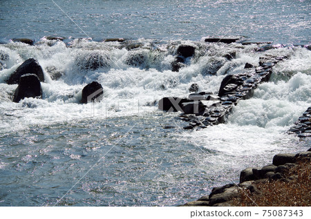 堰的動態水流的唯一且唯一的表達方式……島根縣安來市飯梨川（晴天） 75087343