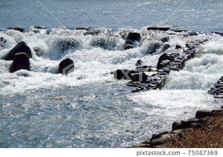 堰的動態水流的唯一且唯一的表達方式……島根縣安來市飯梨川(晴天) 堰的動態水流的唯一且唯一的表達方式……島根縣安來市飯梨川(晴天) 75087369
