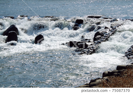 堰的動態水流的唯一且唯一的表達方式……島根縣安來市飯梨川（晴天） 75087370