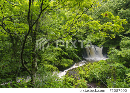 Muddy waterfall Muddy waterfall 75087990