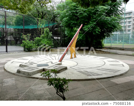 公園裡的大日d 75088116
