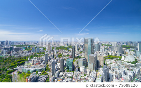 Tokyo Spring: The big city seen from Roppongi Tokyo Spring: The big city seen from Roppongi 75089120