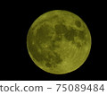 Blue Moon-I intended to shoot Gold Moon! 75089484